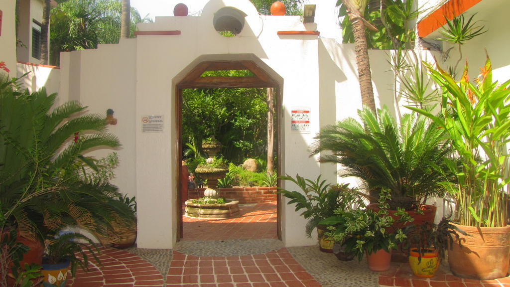 Hotel La Paloma Oceanfront Retreat San Patricio Melaque Zewnętrze zdjęcie